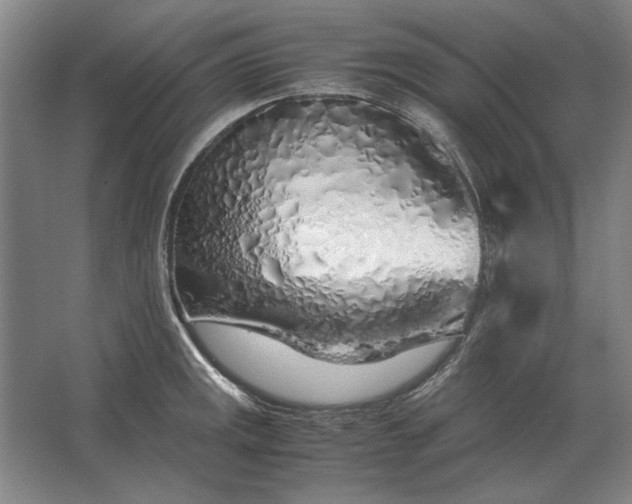 X0000062921141200601271758