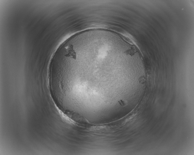 X0000062921143200601271758