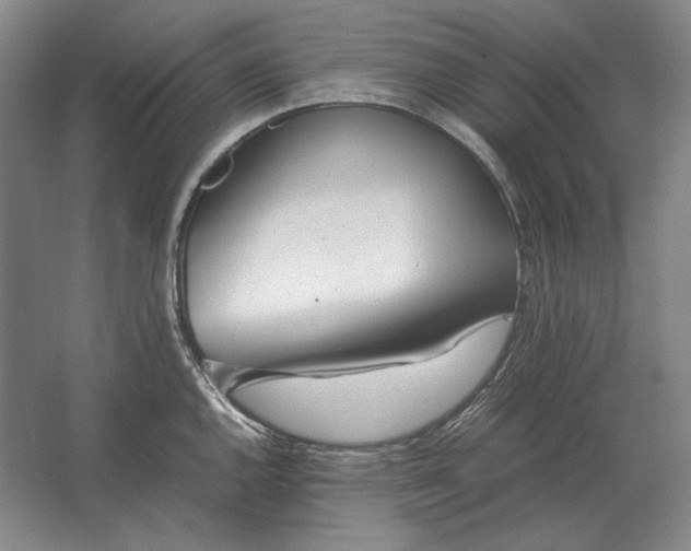 X0000062921144200601271758