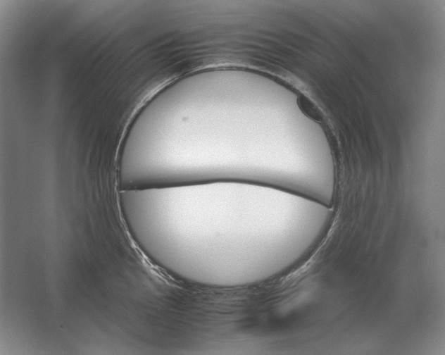 X0000062921145200601271758