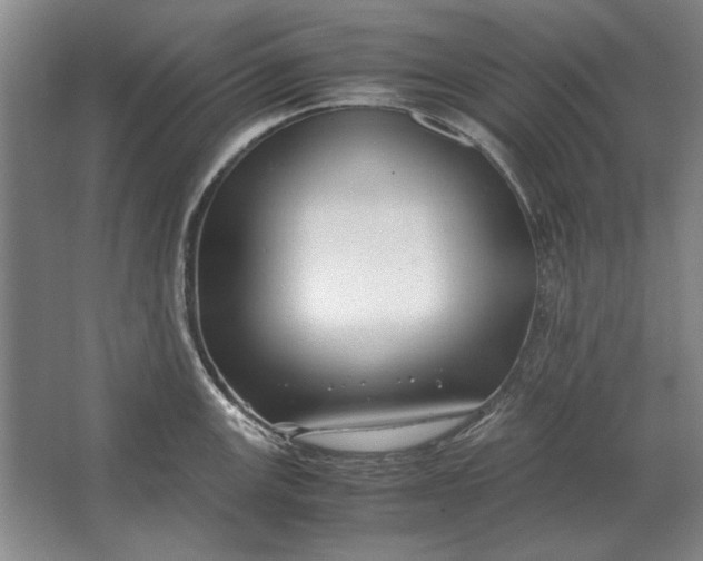 X0000062921147200601271759