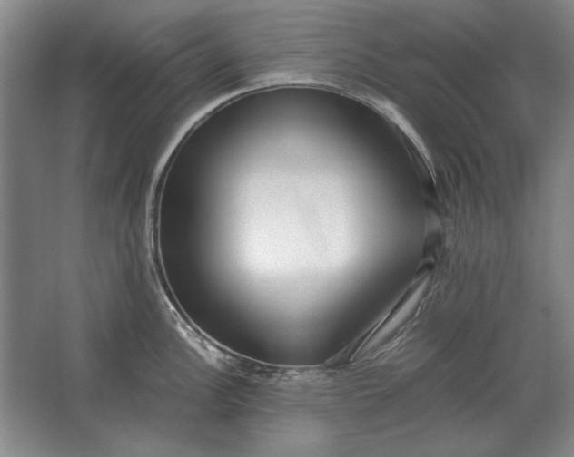 X0000062921148200601271759