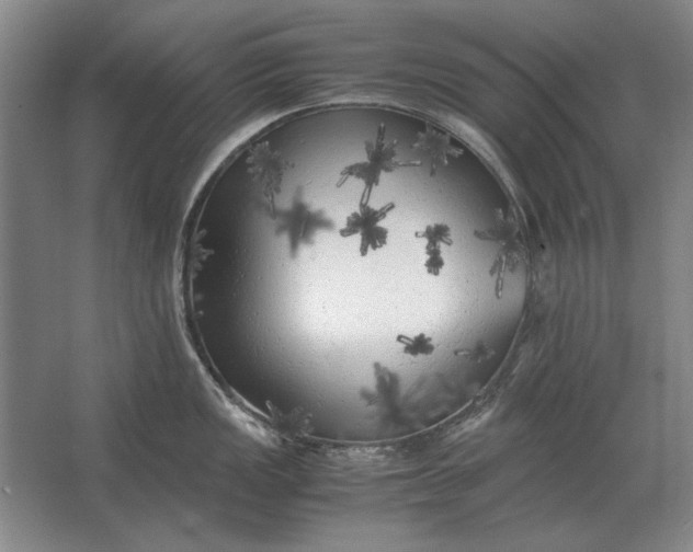 X0000062921149200601271759