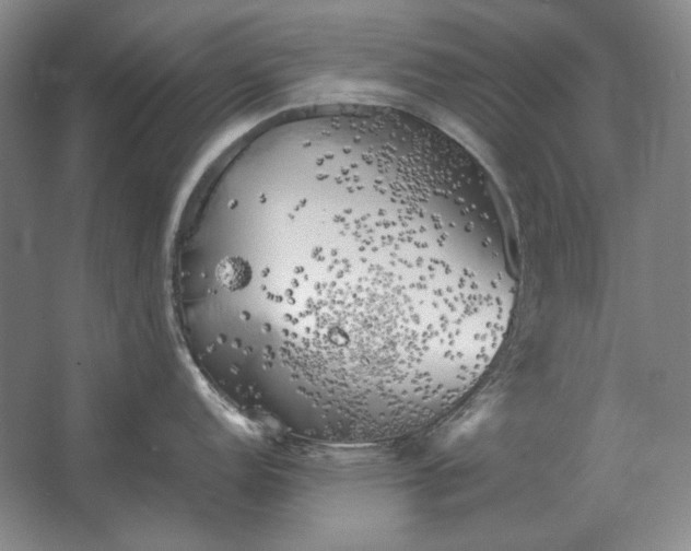 X0000062921152200601271759