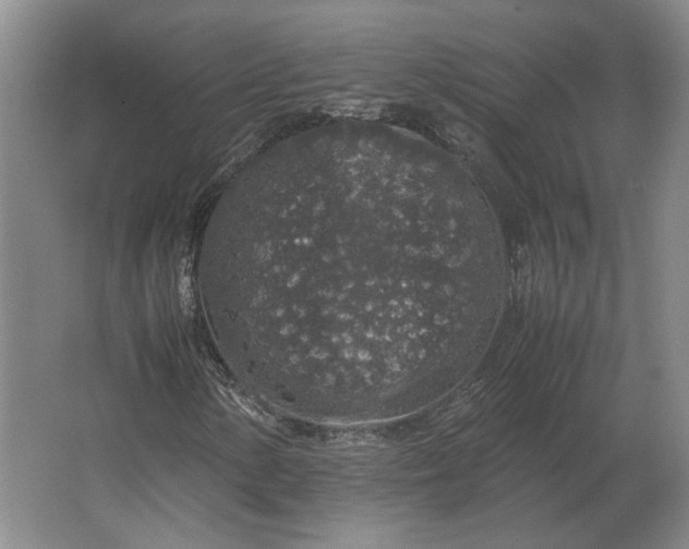 X0000062921154200601271758