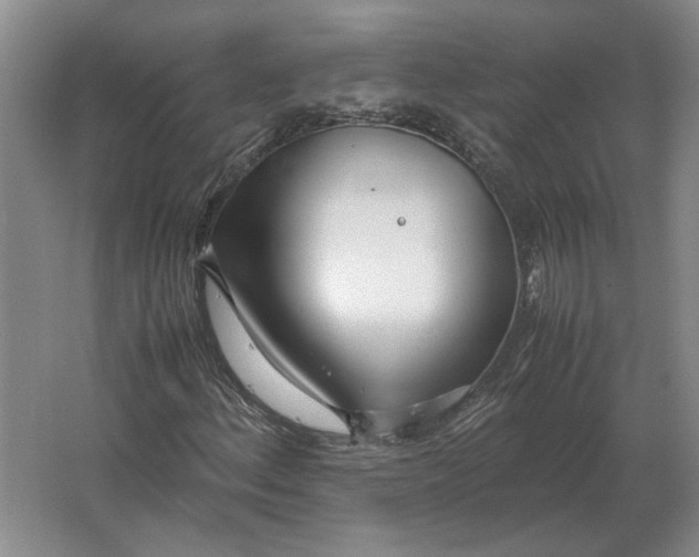 X0000062921156200601271758