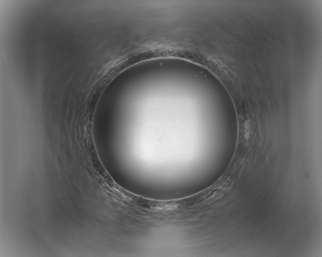 X0000062921157200601271758