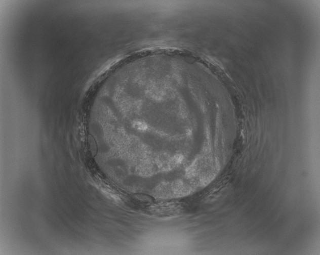 X0000062921159200601271758