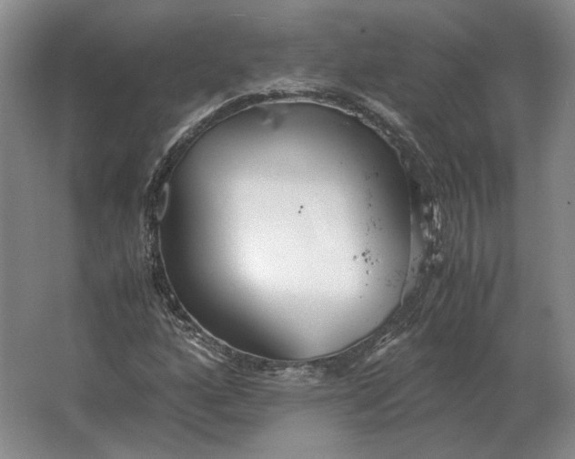 X0000062921160200601271758