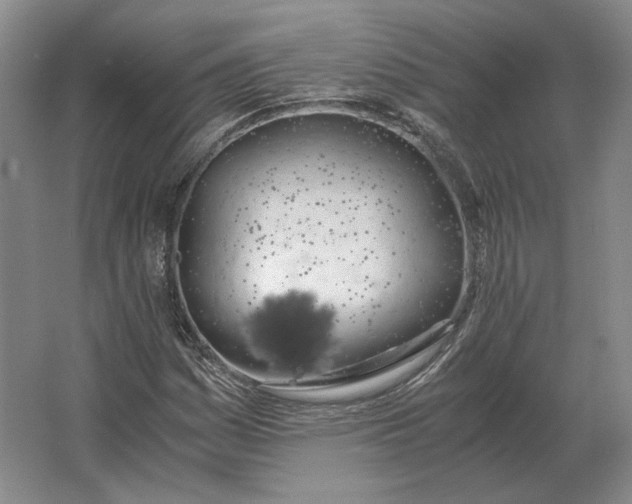 X0000062921161200601271758