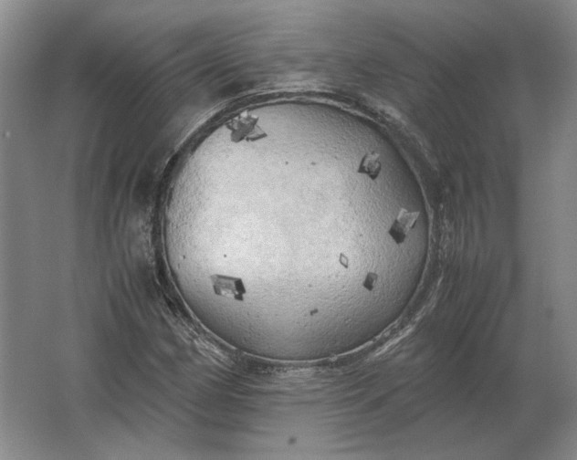 X0000062921162200601271758