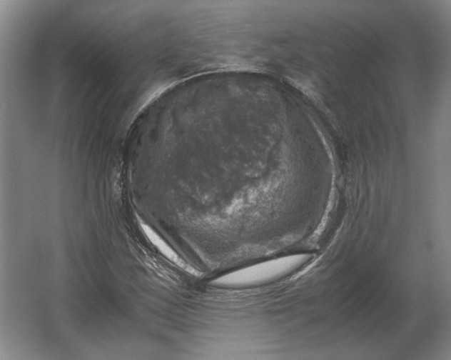 X0000062921163200601271758