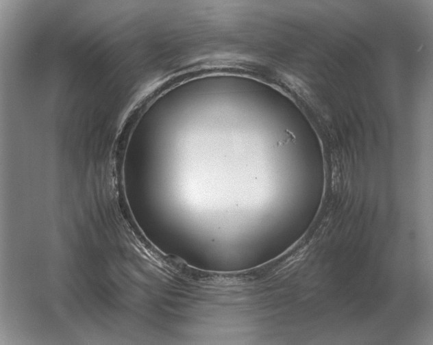 X0000062921164200601271758