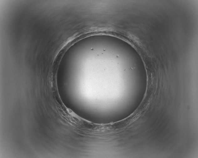 X0000062921165200601271758