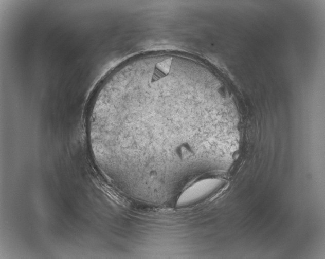 X0000062921167200601271758