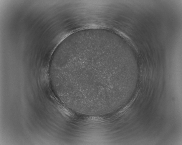 X0000062921170200601271758