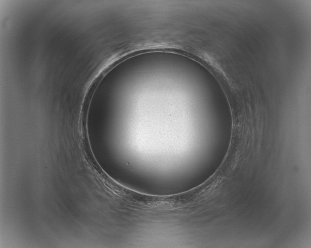 X0000062921173200601271757