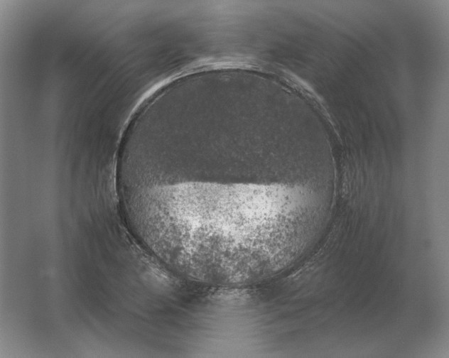 X0000062921174200601271757