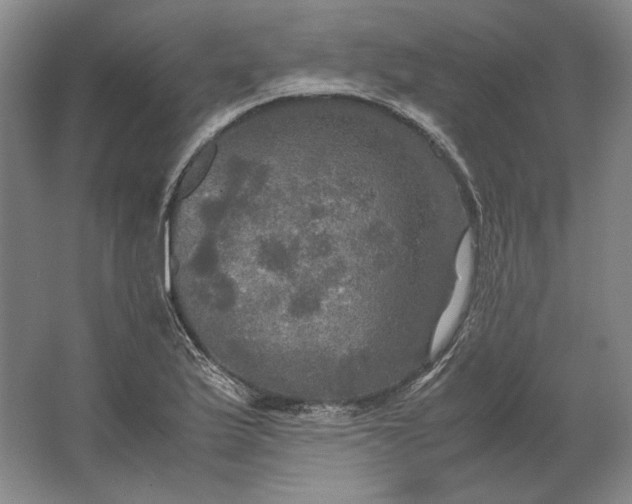 X0000062921175200601271757