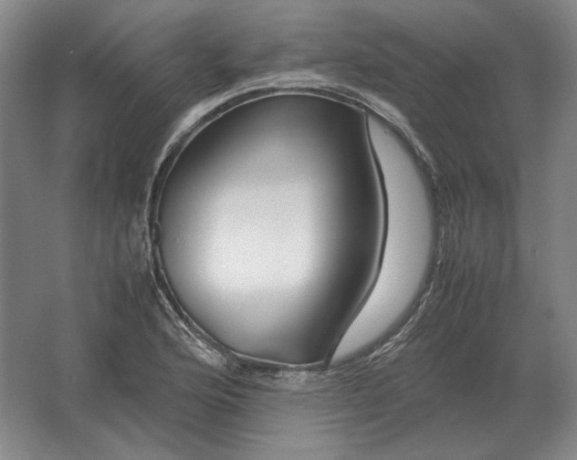 X0000062921176200601271757