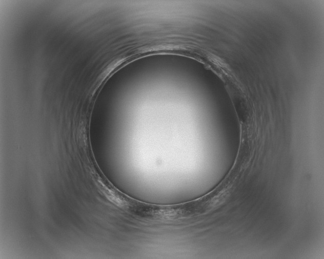 X0000062921177200601271757