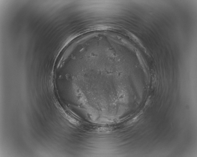 X0000062921178200601271757