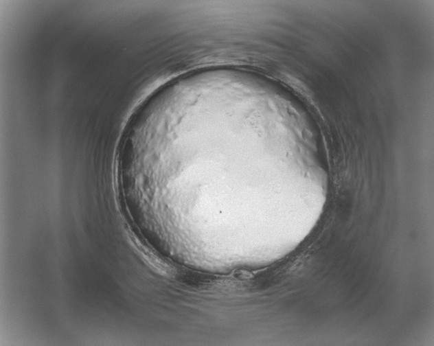 X0000062921179200601271757