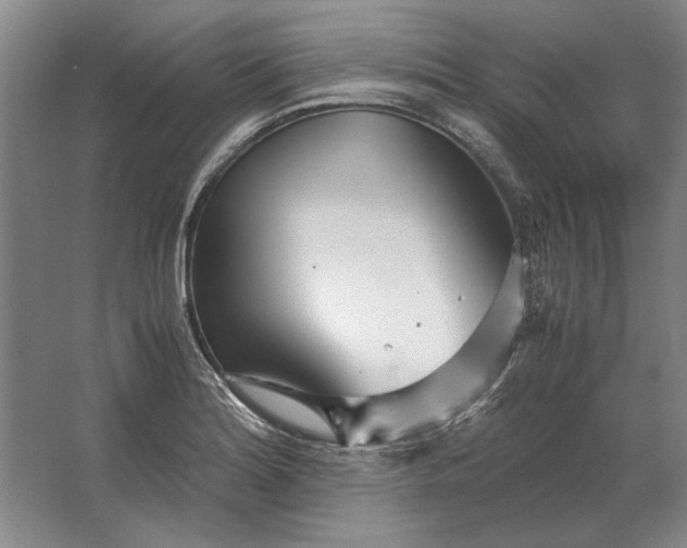 X0000062921180200601271757