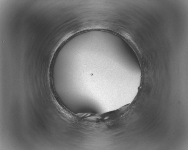 X0000062921181200601271757