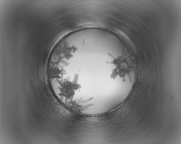 X0000062921182200601271757