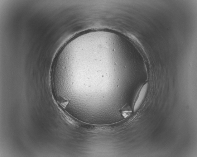 X0000062921183200601271757