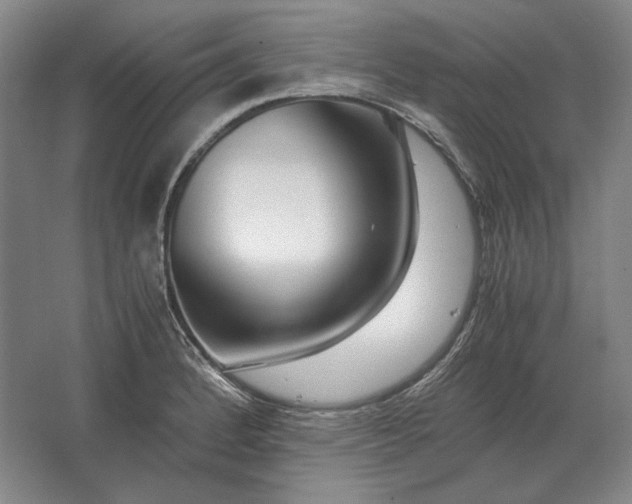 X0000062921184200601271757