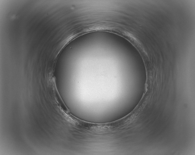 X0000062921185200601271757