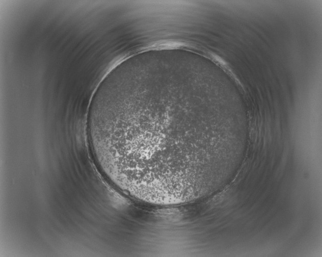 X0000062921186200601271757