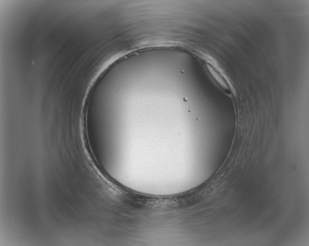 X0000062921187200601271757