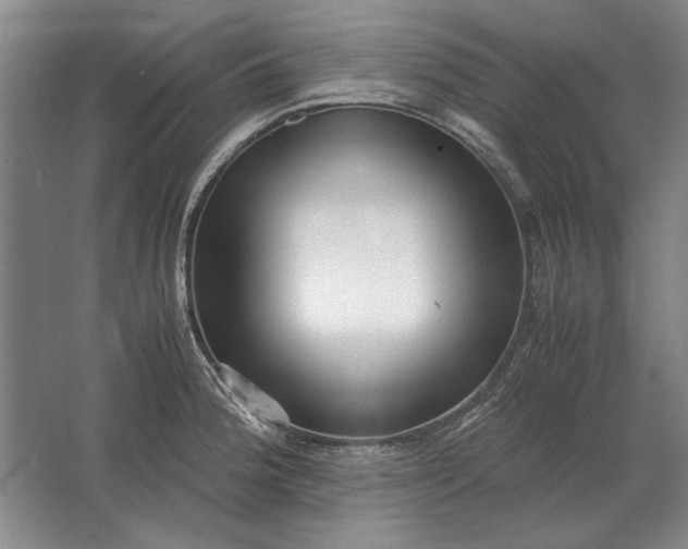 X0000062921188200601271757