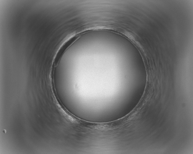 X0000062921189200601271757