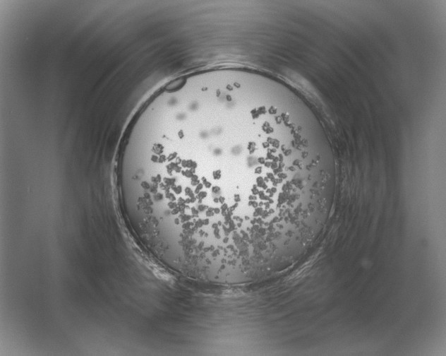 X0000062921190200601271757