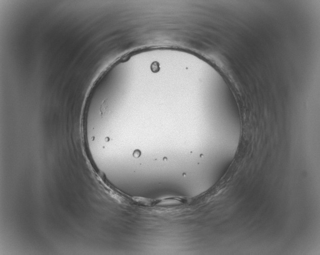 X0000062921191200601271757