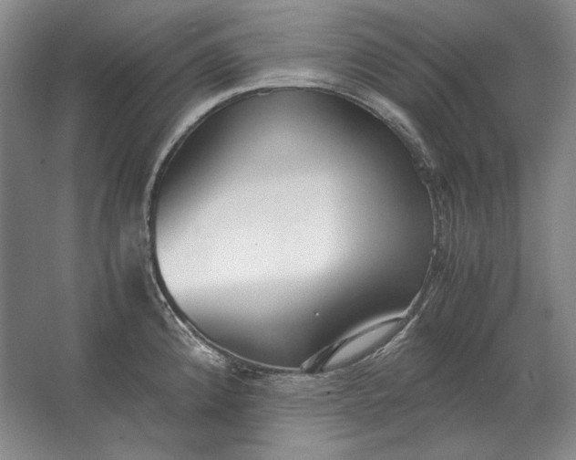 X0000062921192200601271757