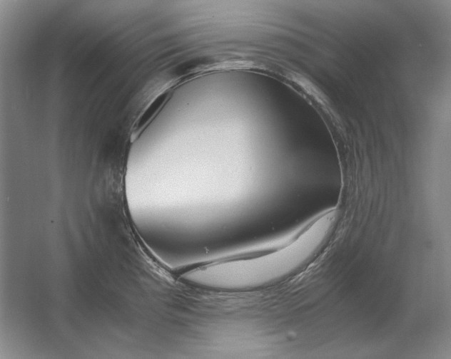 X0000062921193200601271757