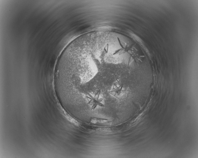 X0000062921194200601271757