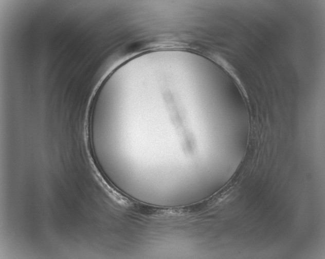 X0000062921195200601271757