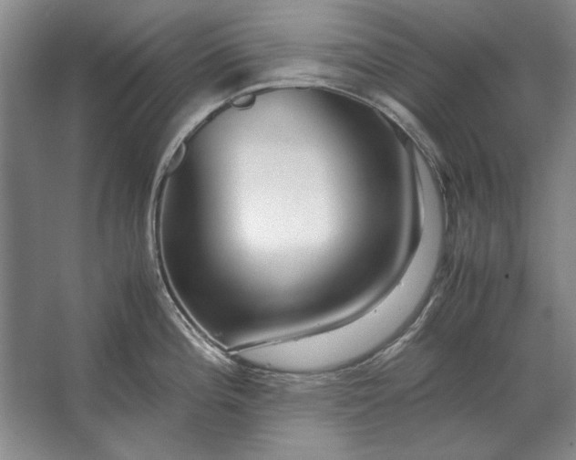 X0000062921196200601271757