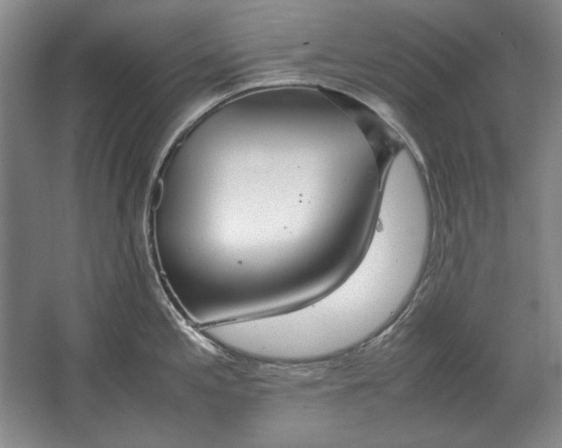 X0000062921197200601271757