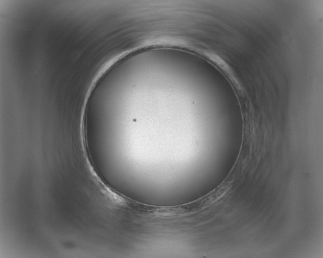 X0000062921199200601271757