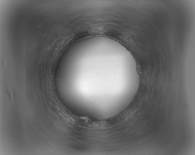 X0000062921201200601271756