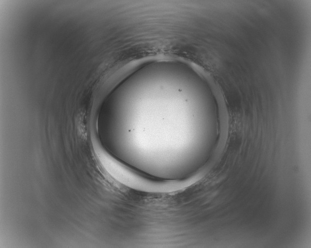 X0000062921202200601271756