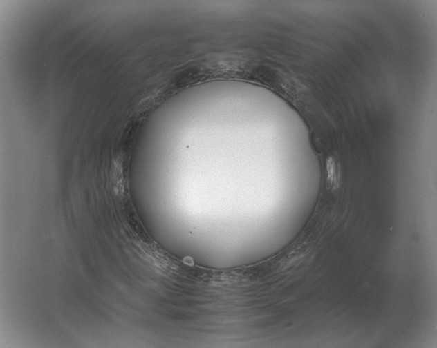 X0000062921203200601271756