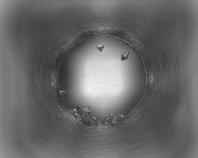 X0000062921204200601271756